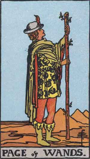 page of wands from raider waite tarot cards deck